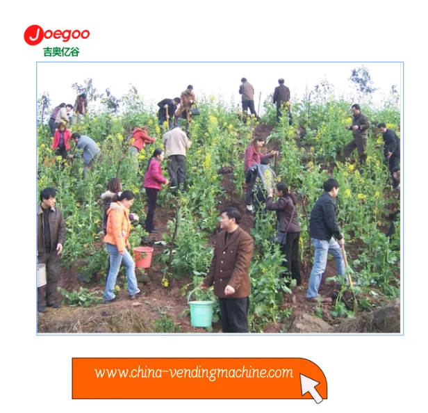 Jeogoo কোম্পানির রপ্তানি বিভাগ উদ্ভিদ উৎসবের জন্য একটি স্বেচ্ছাসেবী কার্যক্রম...